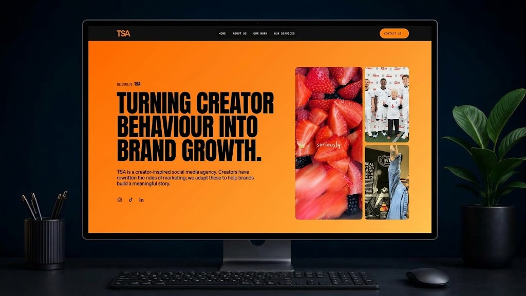 TSA Global website